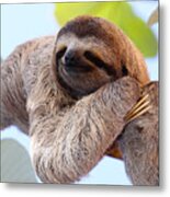 Happy Sloth Hanging On The Tree Metal Print