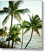 Hawaiian Coast Metal Print