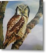 Hawk Owl Metal Print