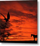 Heading Home Horse Eagle Sunset Silhouette Series Metal Print