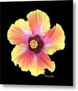 Hibiscus Metal Print