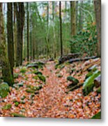 Hiking Trail In Autumn Metal Print