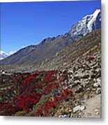 Himalayan Landscape Metal Print