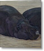 Hippopotamus Metal Print