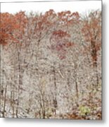 Holding Onto Fall Metal Print