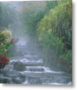 Hot Spring Cascade  From Tabacon Hot Metal Print