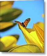 How Beautiful To Fly Metal Print