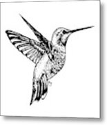 Hummingbird Metal Print