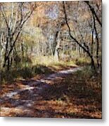 Hunter's Road Metal Print