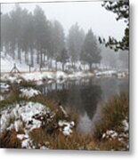 Idyllic Winter Forest Landscape  At Troodos Mountains, Cyprus Metal Print