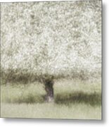 In The Backyard Metal Print