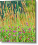 In The Clover Metal Print