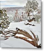 Independence Canyon Of Colorado National Monument Metal Print