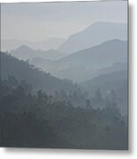 India, Kerala, Western Ghats Mts., Tea Metal Print