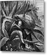 Indian Extracting Pulque, Mexico, 19th Metal Print