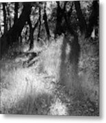 Indian Valley Upper Reaches Metal Print
