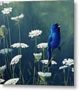 Indigo & Lace - Indigo Bunting Metal Print