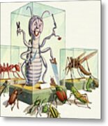 Insect Museum Metal Print