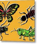 Insects Metal Print