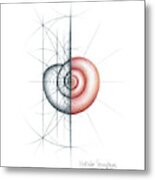 Intuitive Geometry Shell 2 Metal Print