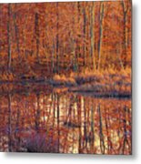 Ipswich River Wildlife Sanctuary Metal Print