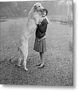 Irish Wolfhound Metal Print