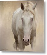 Is That A Treat In Your Hand Metal Print