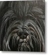 Max Metal Print