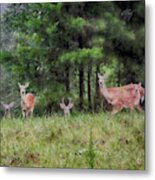 I've Been Spotted Metal Print