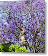 Jacaranda Trees Metal Print