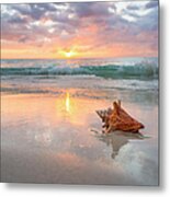 Jamaica, Conch Shell On Beach Metal Print