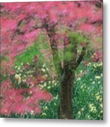 Japanese Cherry Tree In Bloom Prunus Metal Print