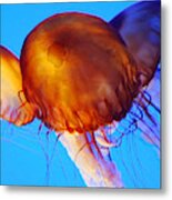 Jellyfish Paintography Metal Print