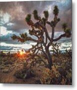 Joshua Tree Sunset Metal Print