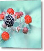 Juicy Berries Metal Print