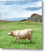 Just A Cow Metal Print
