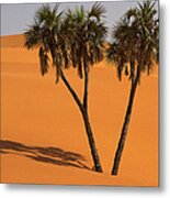 Kuri Wakko Dunes Metal Print