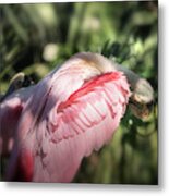 Lady In Pink Metal Print