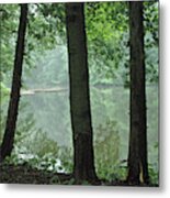 Lake Metal Print