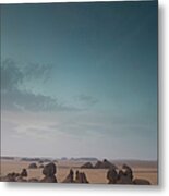 Landscape In Desert Metal Print