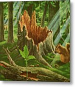 Large Tree Stump In A Forest Metal Poster