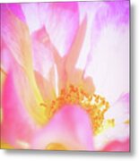 Layers Of Happiness Metal Print
