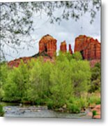 Leafy Canopy At Red Rock Canyon Metal Print