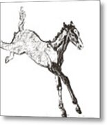 Leaping Foal Art Metal Print