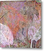 Leaves And Wood No 2 Metal Print