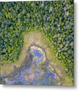 Lee River Swamp Metal Print