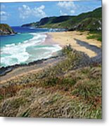 Leão Beach Metal Print