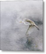 Levitation Metal Print