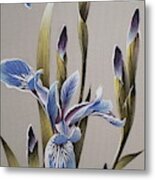 Light Blue Irises Metal Print