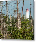 Lighthouse Between The Trees Metal Print